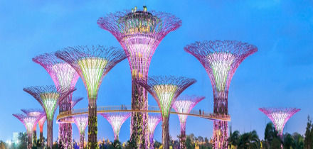 Візові вимоги для власників паспорту Україна, які подорожують до Сінгапуру